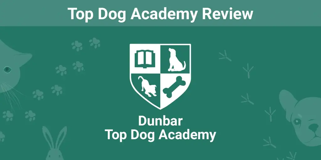 Top Dog Academy Review 2023: Szakértőnk véleménye