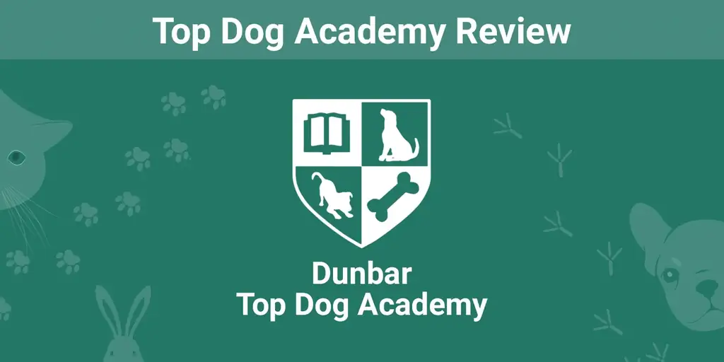 Top Dog Academy Review 2023: Asiantuntijamme mielipide