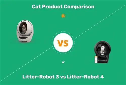 Litter-Robot 3 לעומת Litter Robot 4: ההשוואה שלנו לשנת 2023