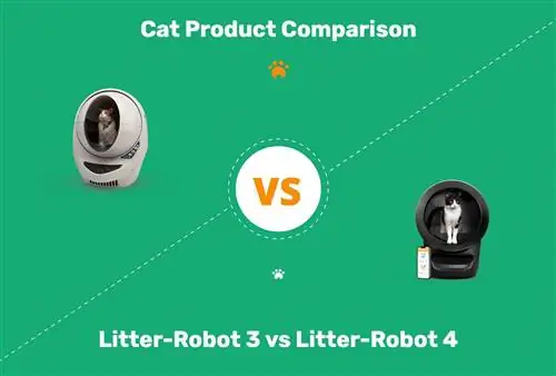 Litter-Robot 3 vs Litter Robot 4: So sánh năm 2023 của chúng tôi