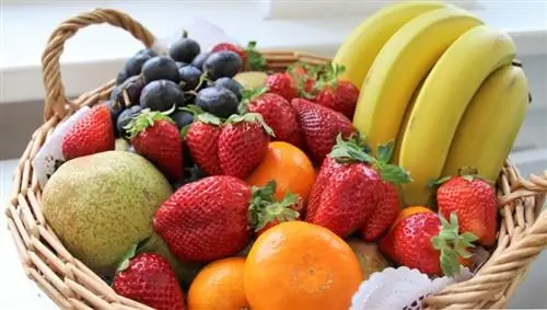 შეუძლია თუ არა ლეოპარდის გეკოს ხილის ჭამა? ვეტერინარის მიერ დამტკიცებული ფაქტები & FAQ
