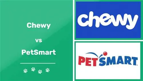 Chewy pret PetSmart - atšķirības un cenu salīdzinājumi 2023. gadā