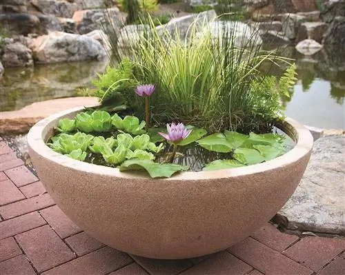 10 Pinakamahusay na Patio Pond Container para sa Water Gardens noong 2023 – Mga Review & Mga Nangungunang Pinili