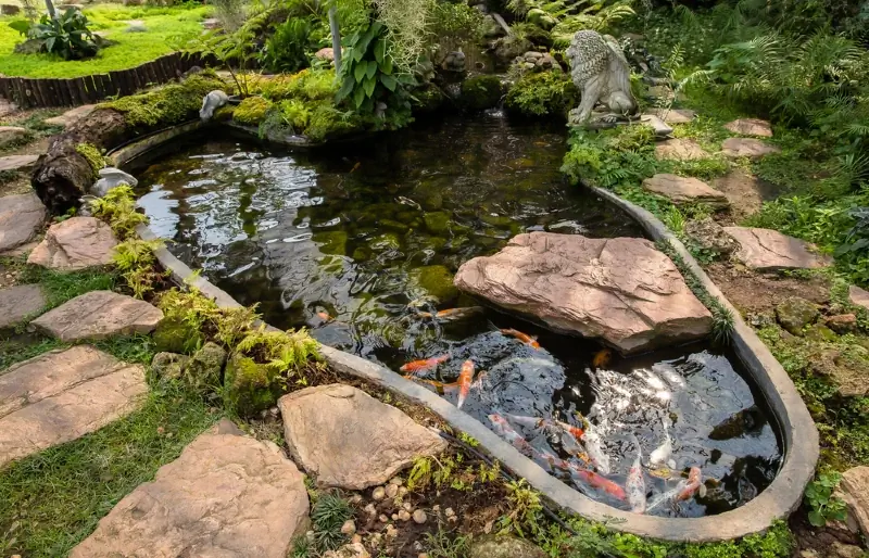 7 Zoo kawg DIY Koi Ponds Koj Ua Tau Hnub no (Nrog duab)