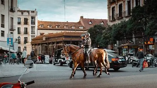 გამოსახულება