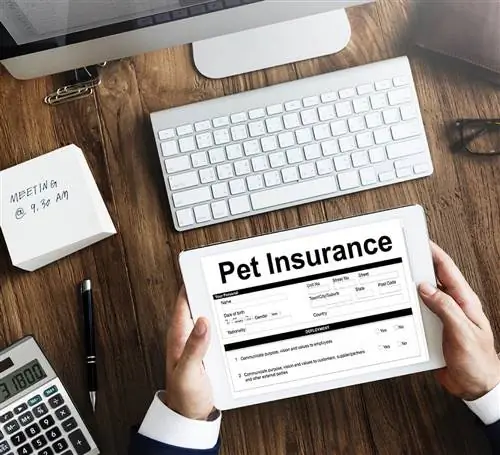 Vad är kostnaden för husdjursförsäkring i Virginia? (2023 Uppdatering)