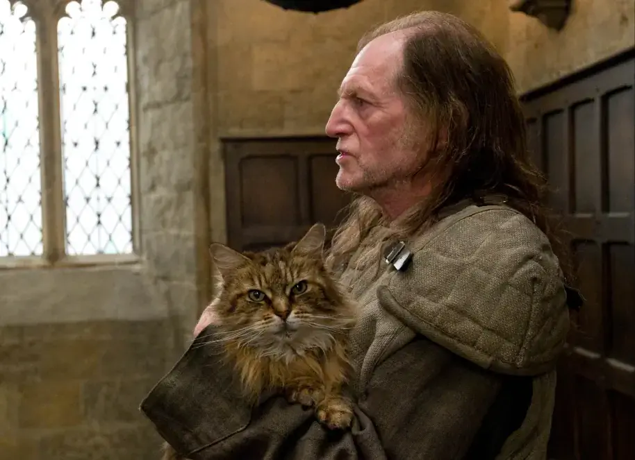 Τι ράτσα γάτας είναι η κυρία Νόρις από τον Χάρι Πότερ;