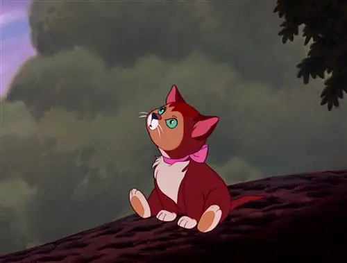 Ce rasă de pisică este Dinah din Alice în Țara Minunilor? Feline de desene animate prezentate