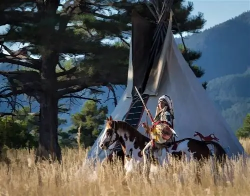 Mais de 100 nomes de cavalos nativos americanos: ideias para cavalos fortes & dignos
