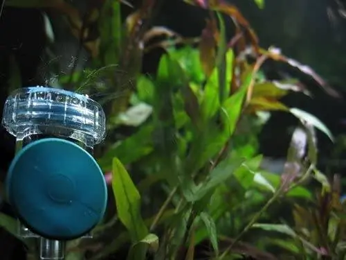 6 Beste CO2-diffusers voor aquaria in 2023 – Recensies & Topkeuzes