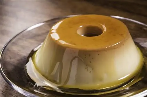 Chó ăn bánh Pudding được không? Sự kiện được bác sĩ thú y đánh giá & Câu hỏi thường gặp