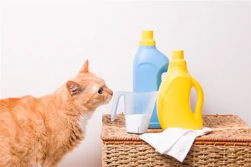 Prečo mačky obľubujú vôňu bielidla? 3 pravdepodobné dôvody & FAQ