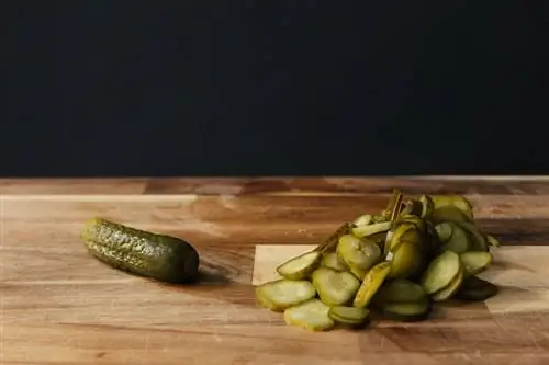 Kan kaniner spise pickles? Dyrlæge vurderet risici & FAQ