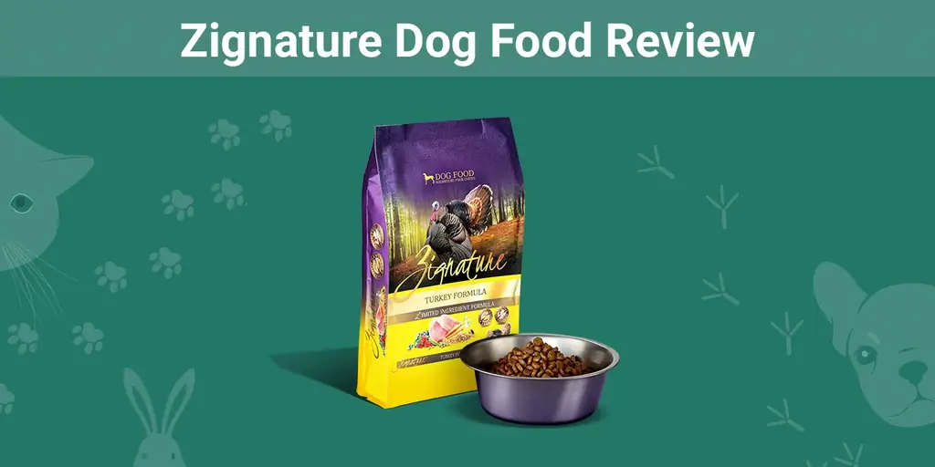 Zignature Dog Food Review 2023: Eslatmalar, ijobiy tomonlari & Minuslar