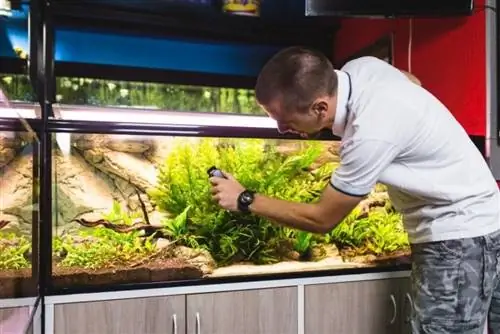 9 твърди & креативни поставки за аквариум Направи си сам (с инструкции)