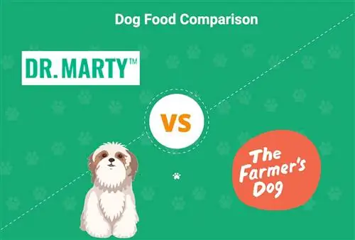 დოქტორ მარტის ძაღლის საკვები ფერმერის ძაღლის წინააღმდეგ (2023 წლის შედარება): დადებითი, უარყოფითი მხარეები & რა უნდა აირჩიოს