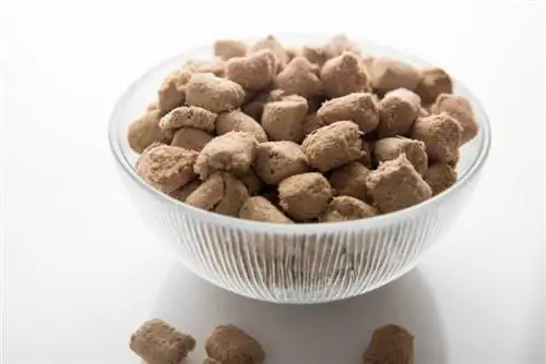 Mrazem sušené krmivo pro psy: 8 kladů & zápory