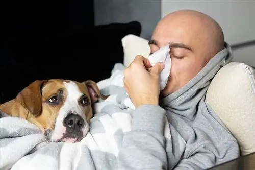 ¿Los perros saben cuándo estás enfermo? ¡La respuesta interesante