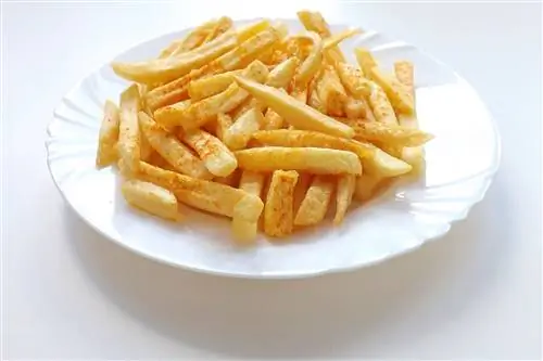 ¿Pueden los gatos comer papas fritas? Datos & Preguntas frecuentes