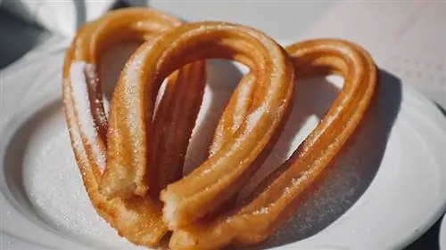 Kan hunde spise Churros? Vet-anmeldte fakta & FAQ