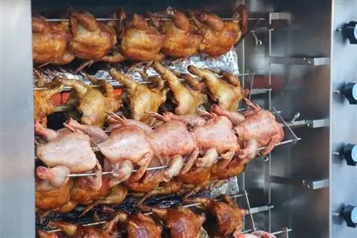 I cani possono mangiare il pollo allo spiedo? Fatti & Domande frequenti