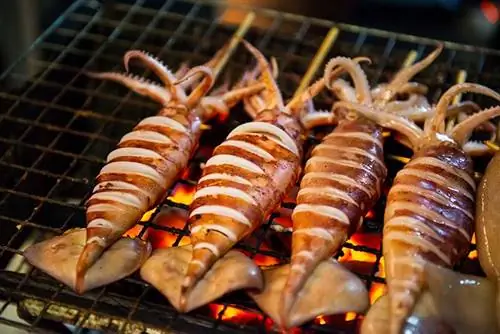 I cani possono mangiare i calamari? La risposta sorprendente