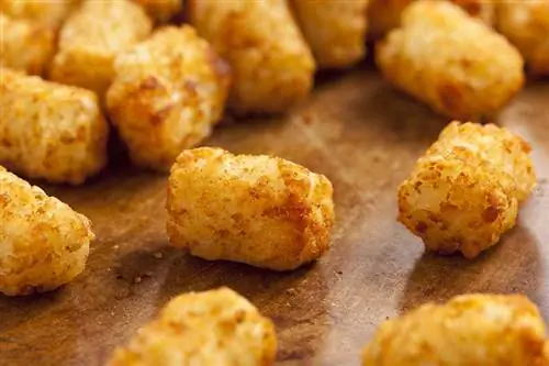 İtlər Tater Tots Yeyə bilər? Baytar tərəfindən təsdiqlənmiş faktlar & FAQ