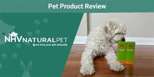 NHV Natural Pet Supplements Review 2023: Opinió del nostre expert