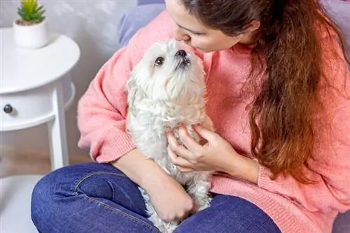 Adakah Anjing Suka Ciuman? Komunikasi, Tanda-tanda & Alternatif