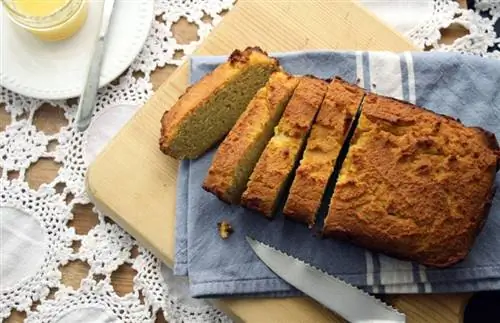 I cani possono mangiare pane alla banana? Fatti esaminati dal veterinario & Guida alla sicurezza