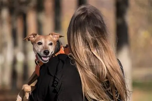 Köpekler Kucaklanmaktan mı Kucaklanmaktan mı Hoşlanır? Veteriner Onaylı Gerçekler & İpuçları