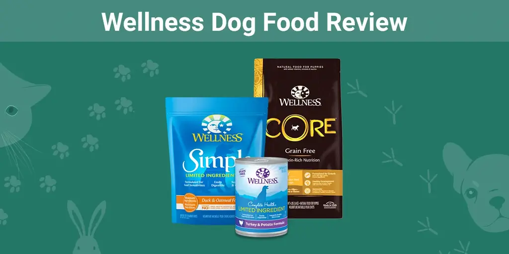 Pregled hrane za pse Wellness 2023: prednosti i mane & Povlačenja