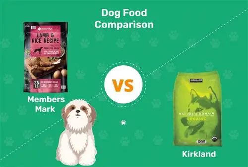 Liikmed Mark vs Kirklandi koeratoit (2023. aasta võrdlus): plussid, miinused ja mida valida