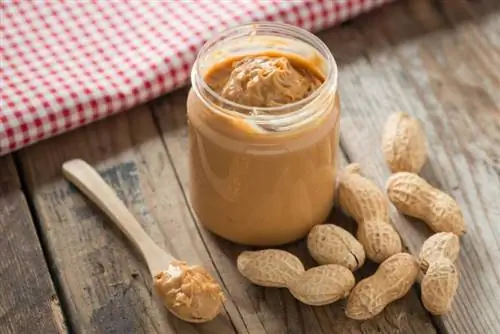 Maaari Bang Kumain ang Pusa ng Peanut Butter? Mga Katotohanan & FAQ
