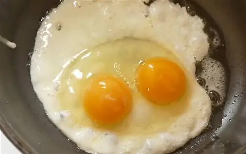 Nenormalūs vištienos kiaušiniai: 22 kiaušiniai & Paaiškintos lukšto problemos (su paveikslėliais)