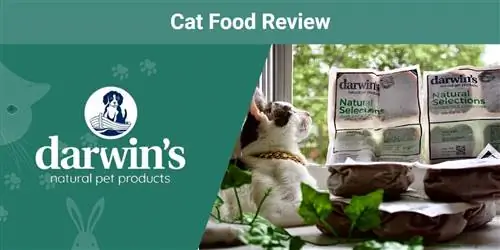 Darwin's Raw Cat Food Review 2023: voors, tegens, oordeel, & FAQ