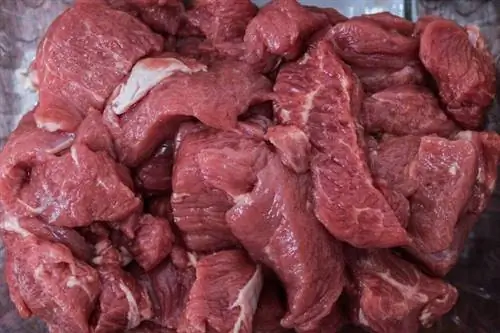 Els gossos poden menjar carn crua? Apreneu què és segur per al vostre cadell