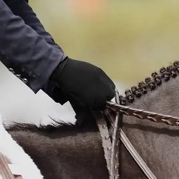 7 Sarung Tangan Menunggang Kuda Terbaik pada 2023: Ulasan & Pilihan Teratas