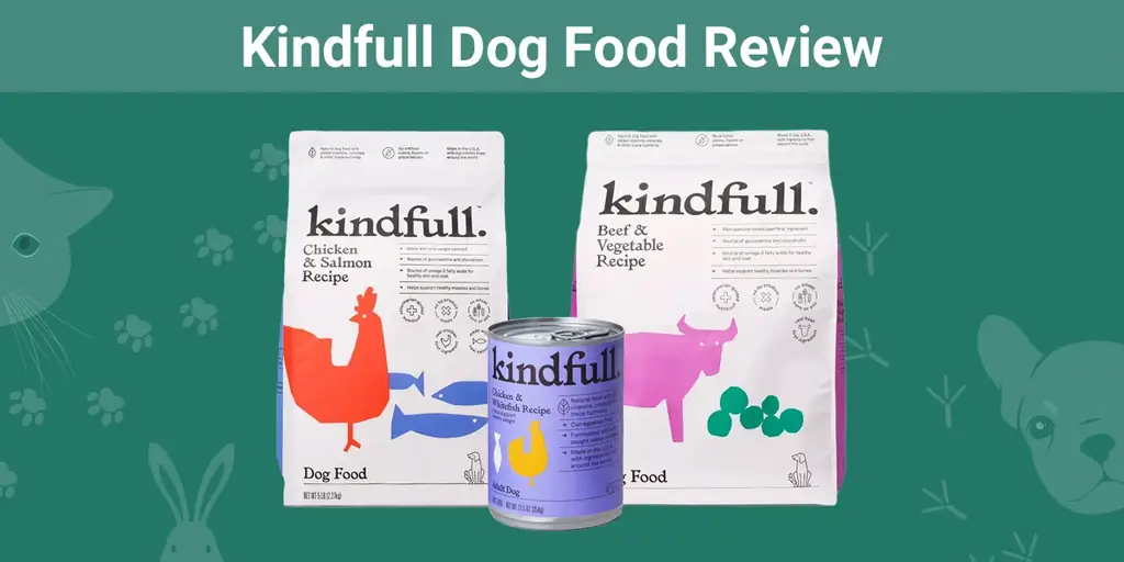 Kindfull Dog Food Review 2023. Կողմ & Դեմ և հիշեցում