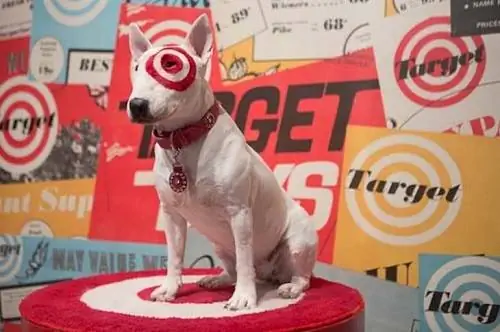 Jakiej rasy jest pies Bullseye z Targetu? Słynne fakty dotyczące szczeniąt