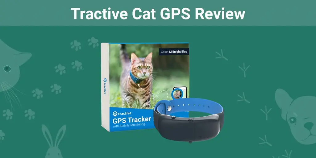 Tractive Cat GPS Review 2023: Szakértőnk véleménye