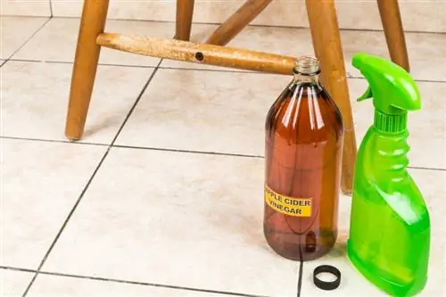 12 mājās gatavoti suņu urinēšanas atbaidīšanas līdzekļi, ko varat pagatavot jau šodien